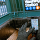 Illustration for article titled Most Popular Touchscreen Gloves: Glove.ly